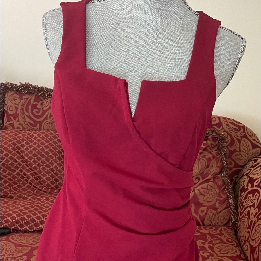 Cranberry Maroon Side Ruched Dress